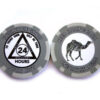 Custom AA Group Chip Token - 24 hours, silver