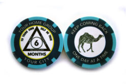 Custom AA Group Chip Token - 6 months, blue
