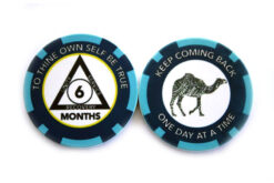 AA Group Chip Token - 6 months, blue