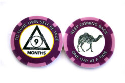 AA Group Chip Token - 9 months, purple
