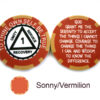 AA Sobriety 1 Year or More Chip - sonny and vermilion