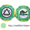 AA Sobriety Welcome Chip - key lime and mint green